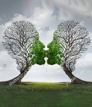 318005648 Tree Love